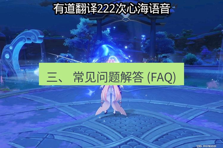 有道翻译桌面端 三、 常见问题解答 (FAQ)