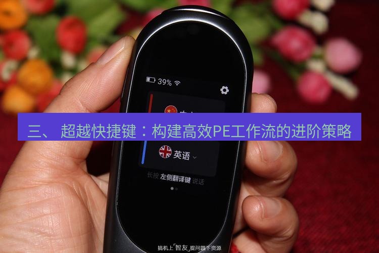 有道翻译桌面端 三、 超越快捷键：构建高效PE工作流的进阶策略