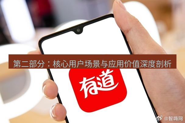有道翻译桌面端 第二部分：核心用户场景与应用价值深度剖析