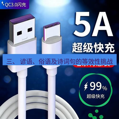 有道翻译桌面端 三、 谚语、俗语及诗词句的等效性挑战