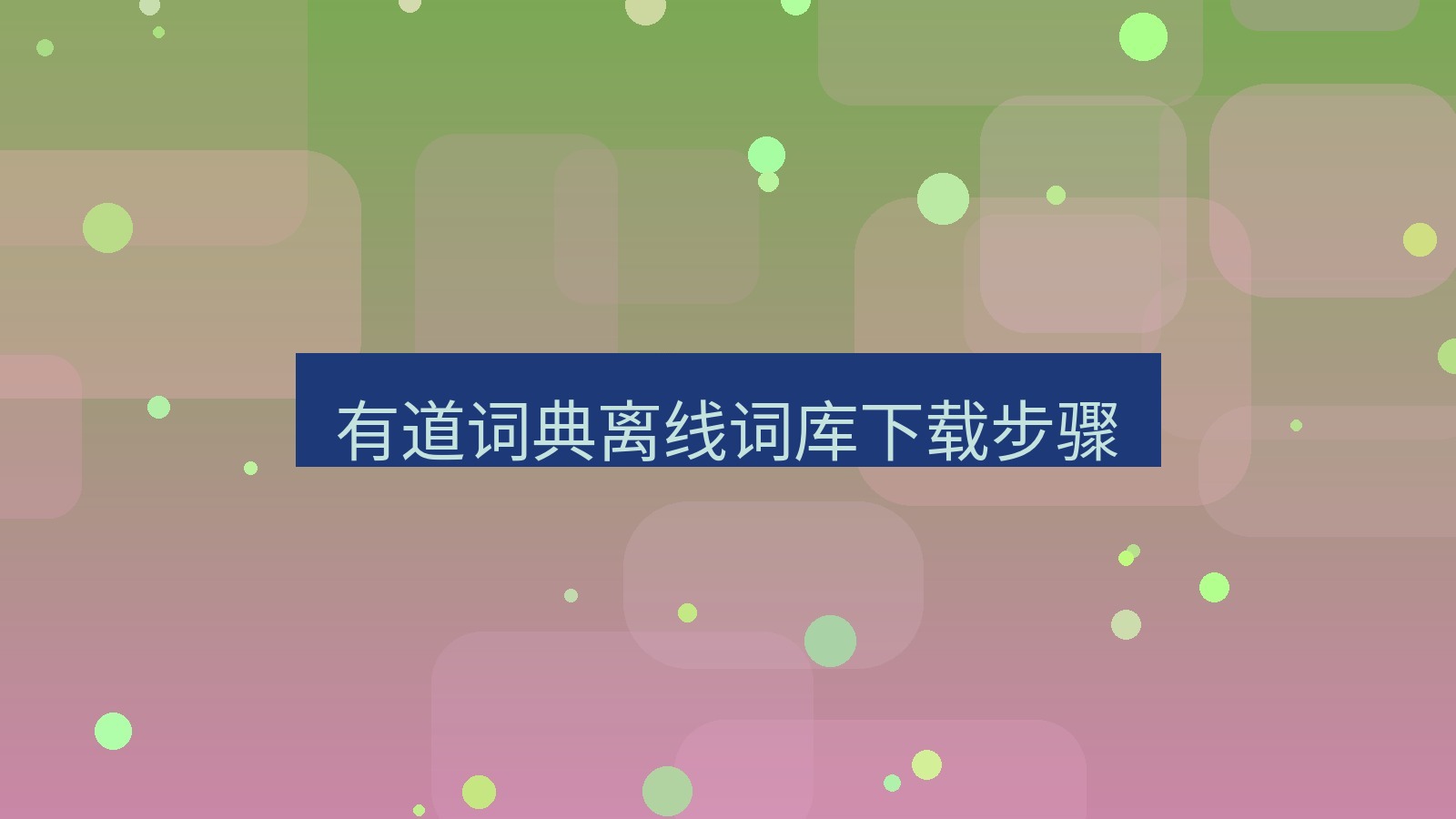 有道翻译桌面端 有道词典离线词库下载步骤