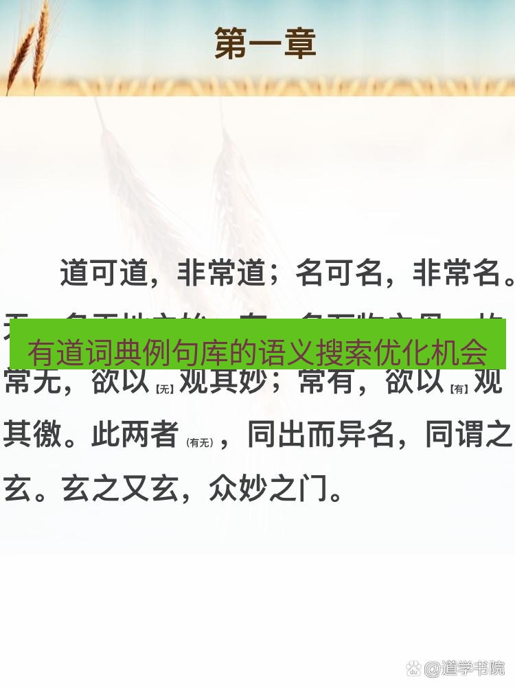 有道翻译桌面端 有道词典例句库的语义搜索优化机会