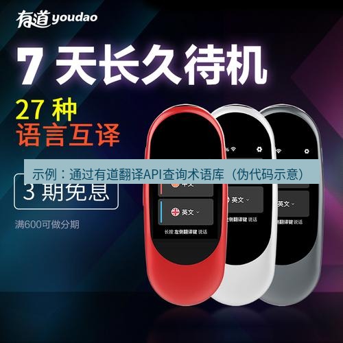 有道翻译桌面端 示例：通过有道翻译API查询术语库（伪代码示意）