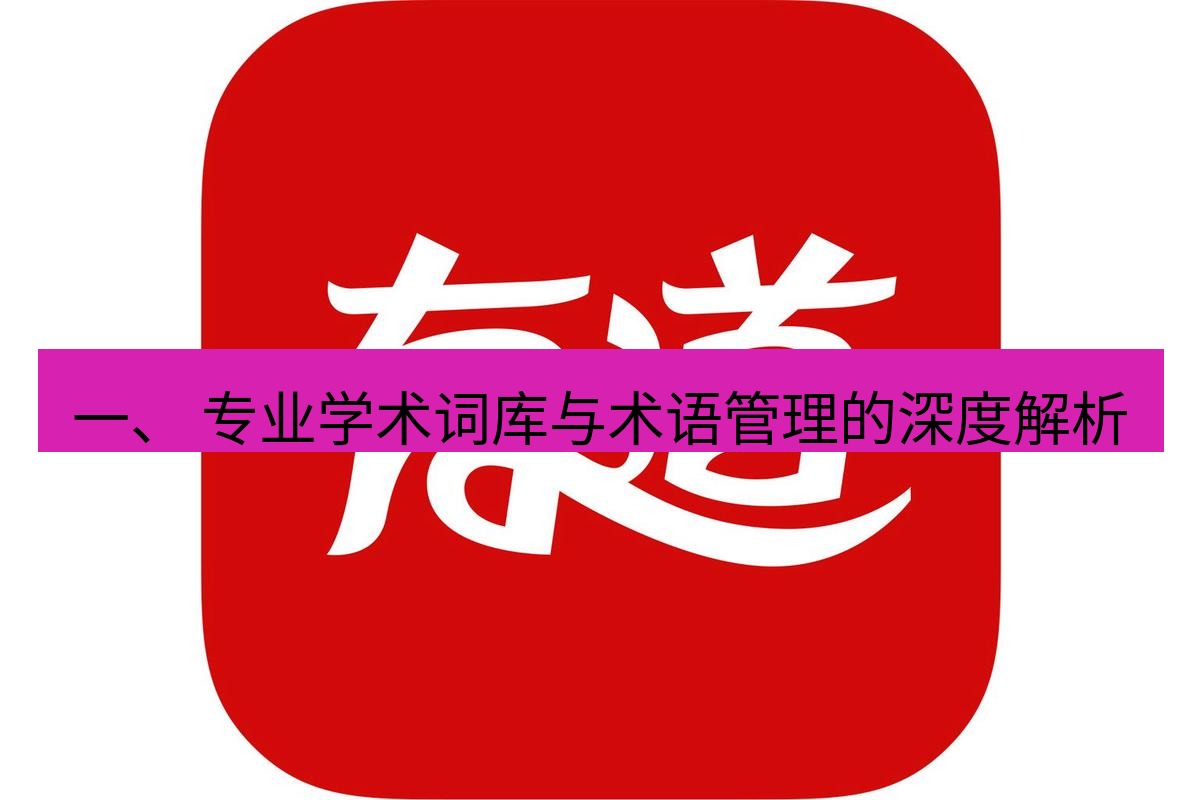 有道翻译桌面端 一、 专业学术词库与术语管理的深度解析