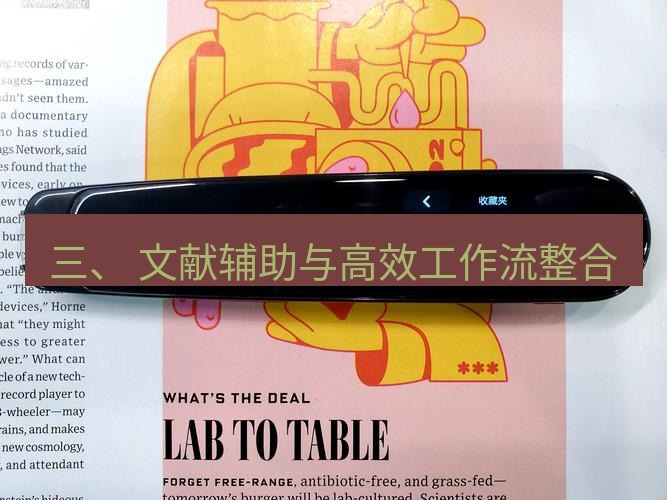 有道翻译桌面端 三、 文献辅助与高效工作流整合