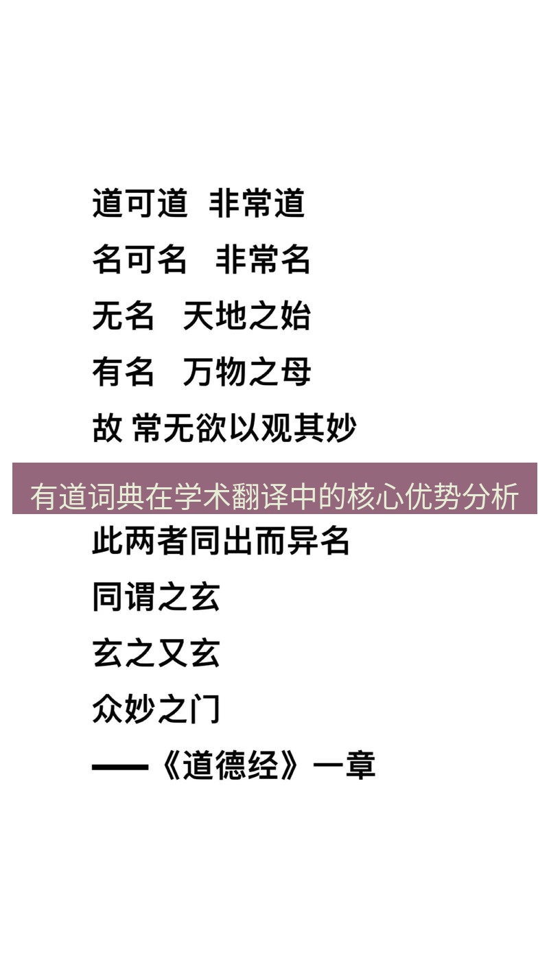 有道翻译桌面端 有道词典在学术翻译中的核心优势分析