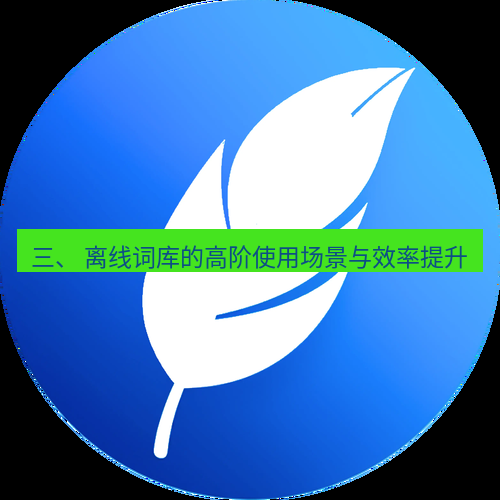 有道翻译桌面端 三、 离线词库的高阶使用场景与效率提升