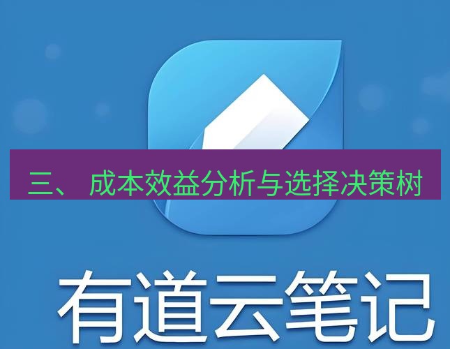 有道翻译桌面端 三、 成本效益分析与选择决策树