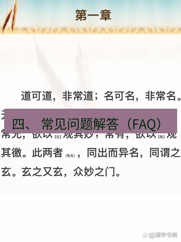 有道翻译桌面端 四、 常见问题解答（FAQ）