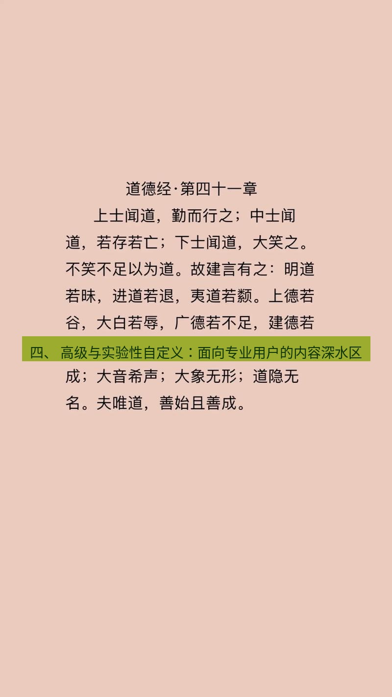 有道翻译桌面端 四、 高级与实验性自定义：面向专业用户的内容深水区