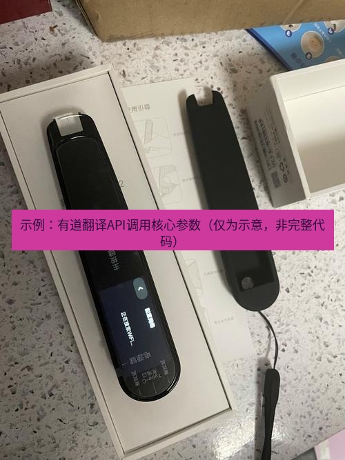有道翻译桌面端 示例：有道翻译API调用核心参数（仅为示意，非完整代码）