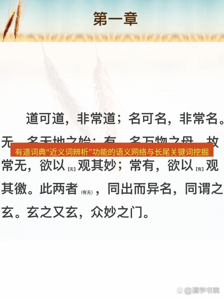 有道翻译桌面端 有道词典“近义词辨析”功能的语义网络与长尾关键词挖掘