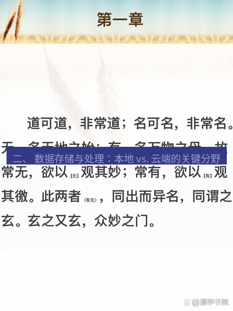 有道翻译桌面端 二、 数据存储与处理：本地 vs. 云端的关键分野
