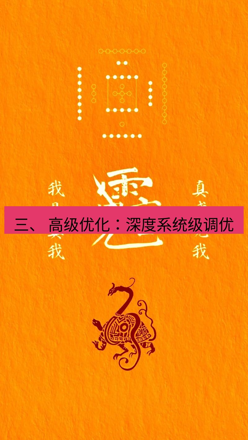 有道翻译桌面端 三、 高级优化：深度系统级调优