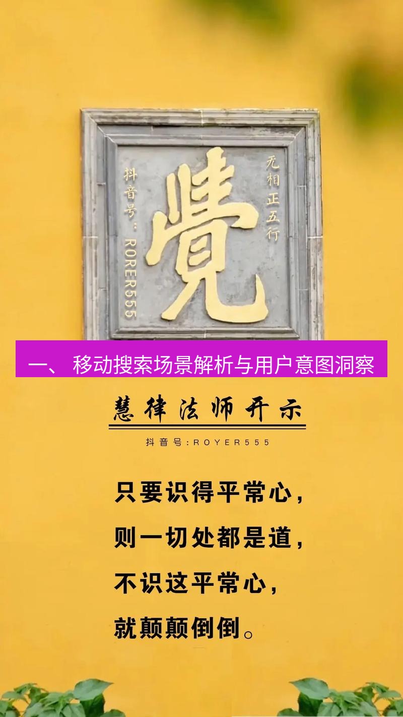 有道翻译桌面端 一、 移动搜索场景解析与用户意图洞察