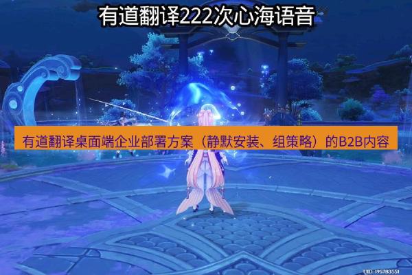 有道翻译桌面端企业部署方案（静默安装、组策略）的B2B内容