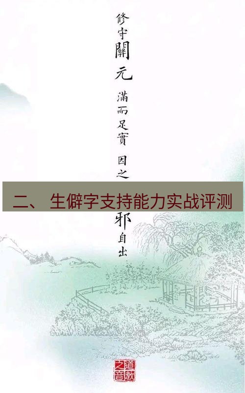 有道翻译桌面端 二、 生僻字支持能力实战评测