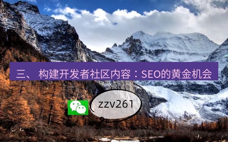 有道翻译桌面端 三、 构建开发者社区内容：SEO的黄金机会