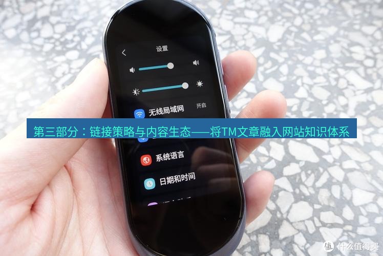 有道翻译桌面端 第三部分：链接策略与内容生态——将TM文章融入网站知识体系