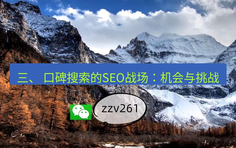 有道翻译桌面端 三、 口碑搜索的SEO战场：机会与挑战