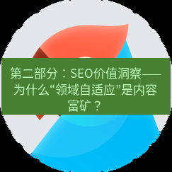 有道翻译桌面端 第二部分：SEO价值洞察——为什么“领域自适应”是内容富矿？