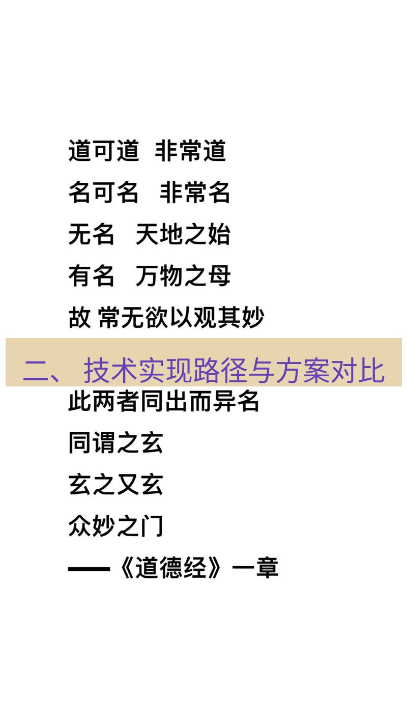 有道翻译桌面端 二、 技术实现路径与方案对比