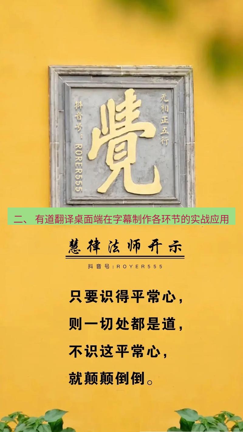 有道翻译桌面端 二、 有道翻译桌面端在字幕制作各环节的实战应用
