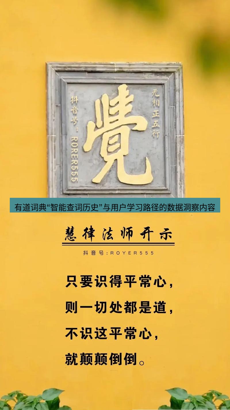 有道翻译桌面端 有道词典“智能查词历史”与用户学习路径的数据洞察内容
